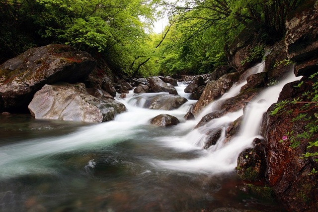 신양담(구천동 26경)