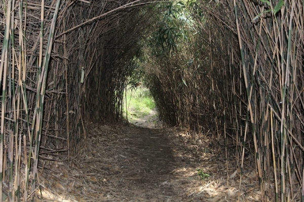 쌍계재 아홉구비길.