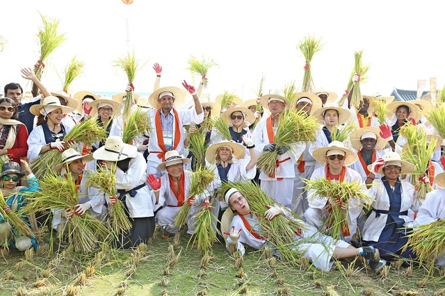 김제 지평선축제