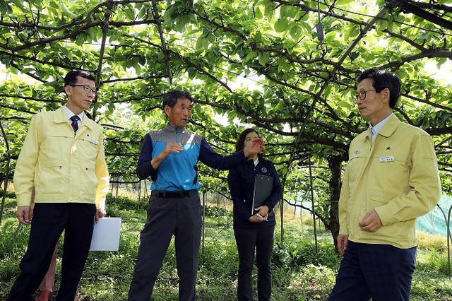 유기상 군수가 과수 피해 농가 현장을 방문해 농민과 대화를 나누고 있다.