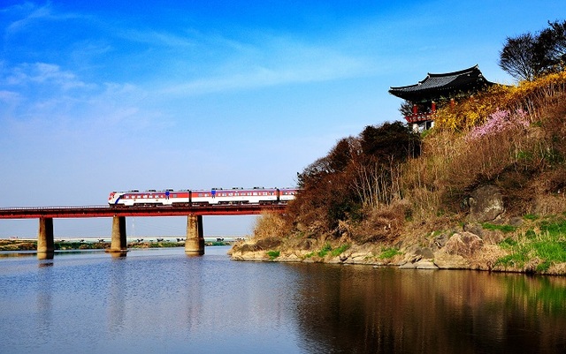 비비정과 비비정예술열차