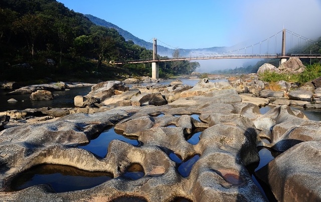 장군목