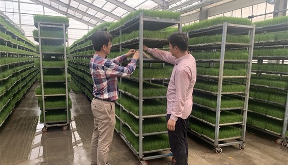 군산시농업기술센터 육묘 알선 창고