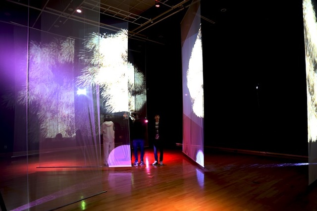 박성준(1979~ ), 프로젝트 영상설치, 가변설치, 2020.