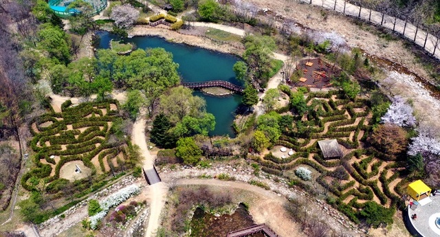 드론으로 촬영한 문경생태 미로공원 전경.