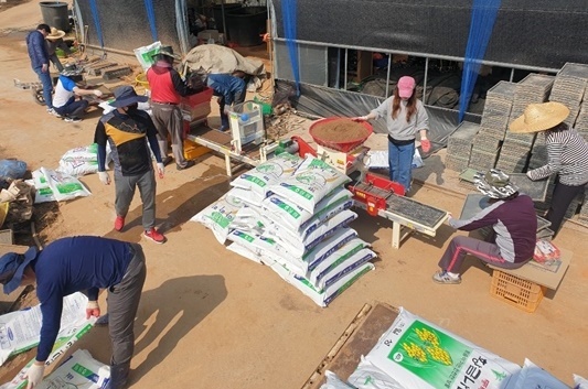 지난 29일 김제시 기획감사실 직원들이 청하면 관상리 농가에서 볍씨 파종과 모판 나르기 등 봉사활동을 펼쳤다.