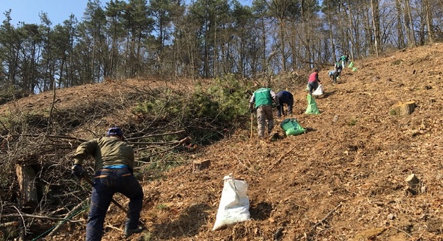 익산시가 관내 임야 78ha에 달하는 면적에 묘목 16만 그루를 식재했다.