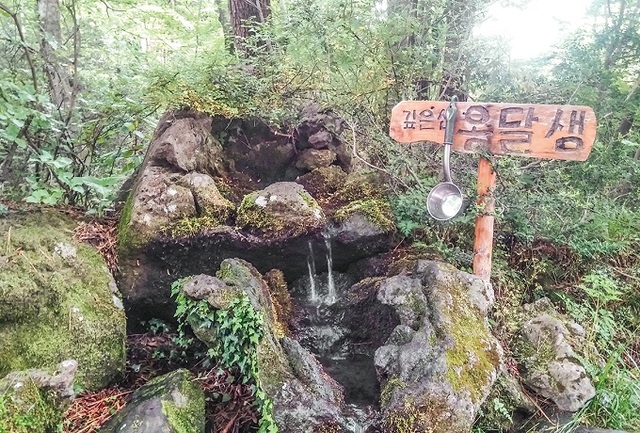 서귀포자연휴양림 옹달샘.