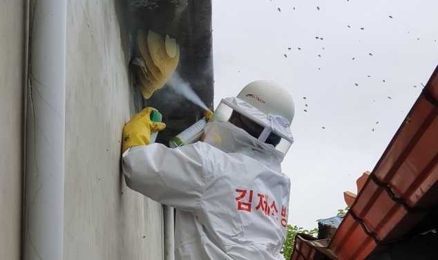 김제 소방대원이 한 주택가의 벌집을 제거 하고 있다.
