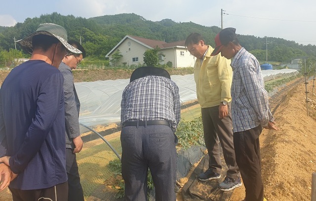 전춘성 진안군수가 우박피해를 입은 농가를 찾아 농작물 피해상황을 직접 확인하고 있다.