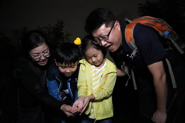 지난해 열린 무주반딧불축제에 참가한 관광객들이 신비탐사 체험을 즐기고 있다.