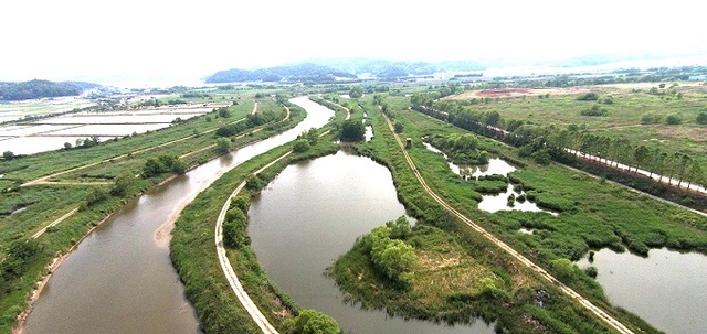 야생화의 보고(寶庫)로 불리는 비봉습지공원. 사진제공=경기관광공사