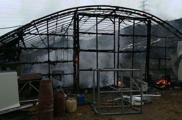 11일 남원의 한 양계장에서 불이나 병아리 2만 마리가 폐사했다. 사진제공= 전북소방본부.