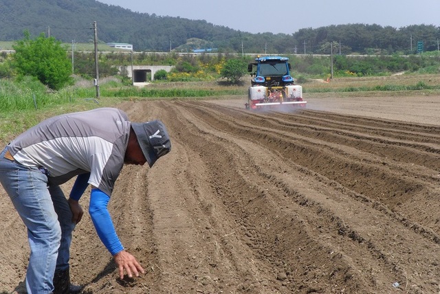 남원시 대산면 대곡리 5개 농가에서 최근 논콩 들녘경영체를 조직하고 이달 초부터 파종을 시작했다.