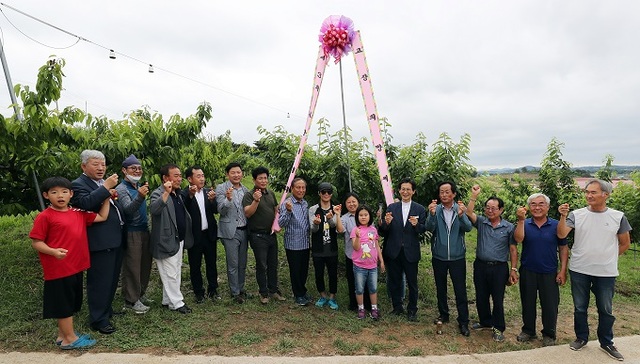 지난 13일 고창 황금지 체리농원 일원에서 고창군이 후원한 ‘제3회 고창 체리의 날’ 행사가 열렸다.
