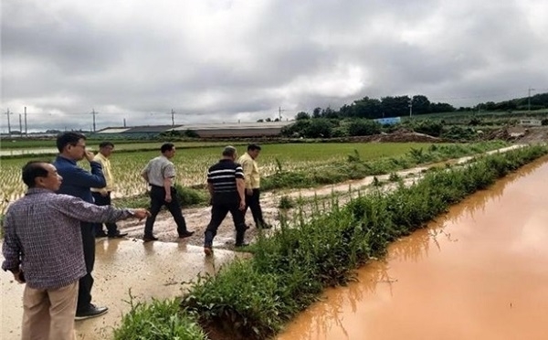 허전 김제시 부시장이 침수 지역을 방문해 피해 상황을 점검하고 있다.