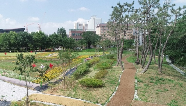 전북대 솜리캠퍼스 정원.