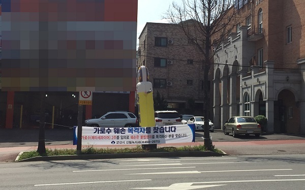 군산시 나운동 극동사거리 일대에 심어진 가로수(메타세콰이어) 2그루가 무단 훼손됐다.