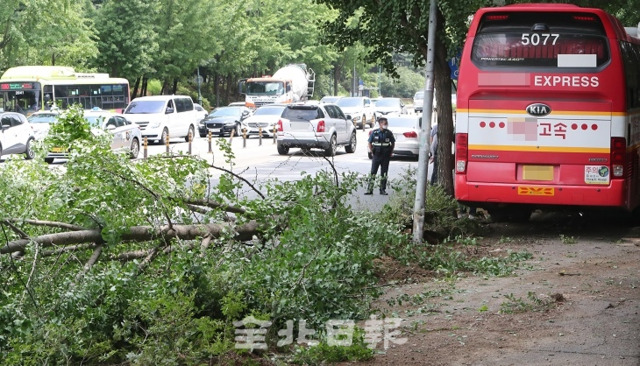 6일 전주시 온고을로에서 시외버스와 택시의 충돌 사고가 발생해 가로수가 넘어지고 버스가 인도에 올라서 있다. 조현욱 기자