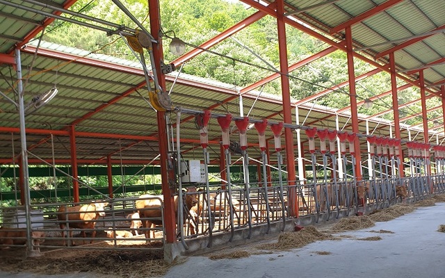 남원시 선진 한우산업 기반시설.