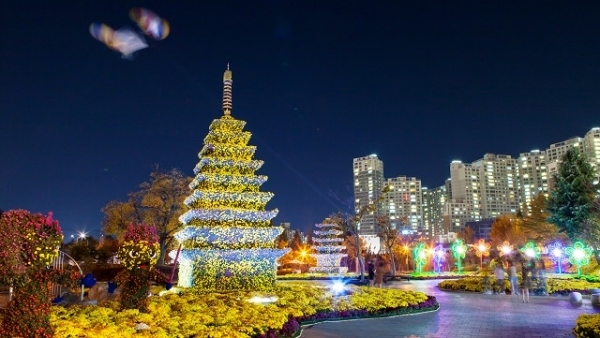 익산 천만송이 국화축제장 야경 모습.
