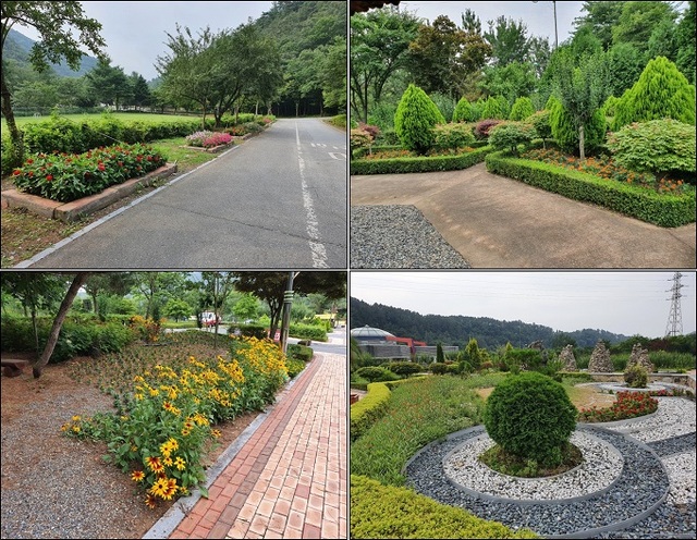 완주 고산자연휴양림이 여름 휴가철을 앞두고 피튜니아·백일홍 등 1만3000여 본의 꽃을 식재하는 등 방문객 맞이 준비를 마쳤다.