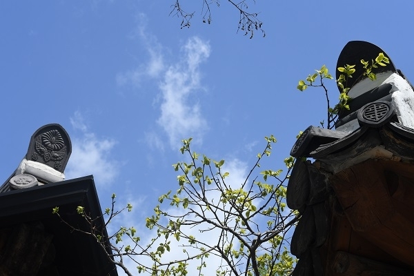 사진작가 김영구 작품.