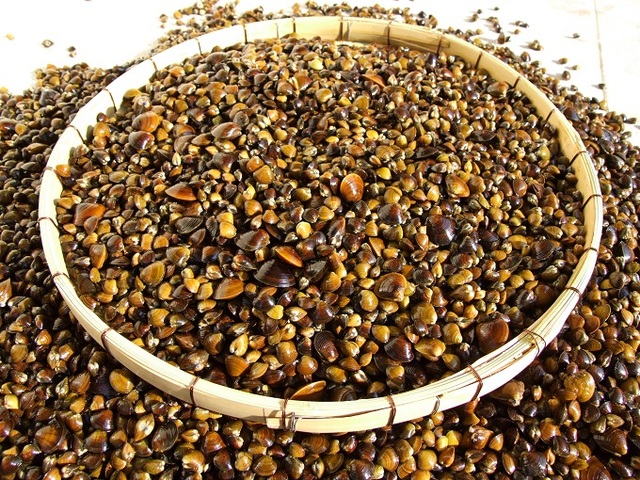 하동군 일대 섬진강에서 갓 잡아올린 재첩. 사진 제공 = 경남 하동군