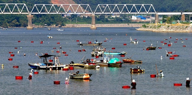 어업인들이 거랭이를 이용해 바닥에 서식하는 재첩을 긁는 전통 손틀방류어업으로 재첩을 채취하고 있다. 사진 제공 = 경남 하동군