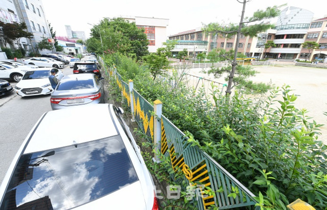 스쿨존 불법주정차 주민신고제 시행을 앞두고 교통환경 조성 등의 목소리가 높아지고 있는 가운데 21일 전주의 한 초등학교 주변에 불법 주정차한 차량들이 여전하다. 오세림 기자