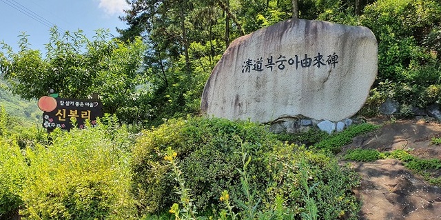 경북 청도군 화양읍 신봉리 마을 입구에 세워진 청도 복숭아 유래비. 사진 제공= 경북 청도군