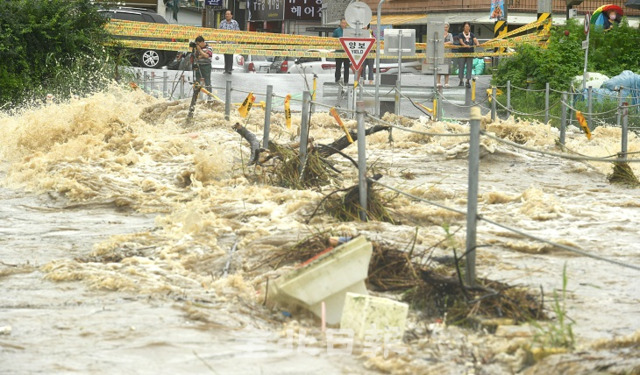 호우특보가 발효되며 많은 비가 내린 30일 전주천 수위가 상승하면서 어은골 쌍다리가 범람해 주민들이 걱정스럽게 바라보고 있다. 오세림 기자