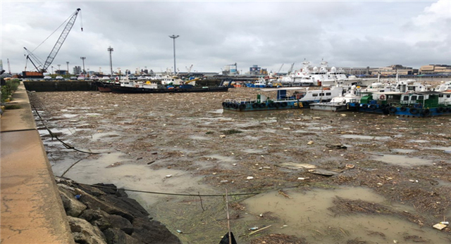 장마철 집중호우로 인해 군산항에 대거 유입된 해양쓰레기.