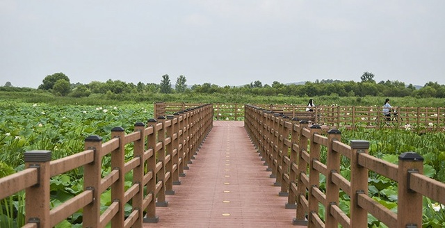 용안생태습지공원.