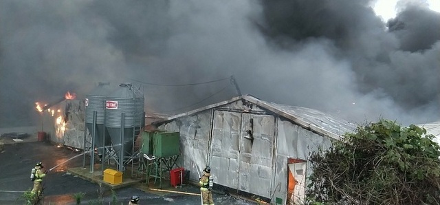 지난달 30일 순창군 동계면의 한 양계장에서 화재가 발생했다. 사진 제공= 전북소방본부.