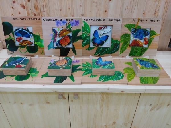 지리산국립공원은 자연을 느끼며 공감할 수 있는 [애벌레의 꿈] 탐방해설 프로그램을 운영하고 있다.