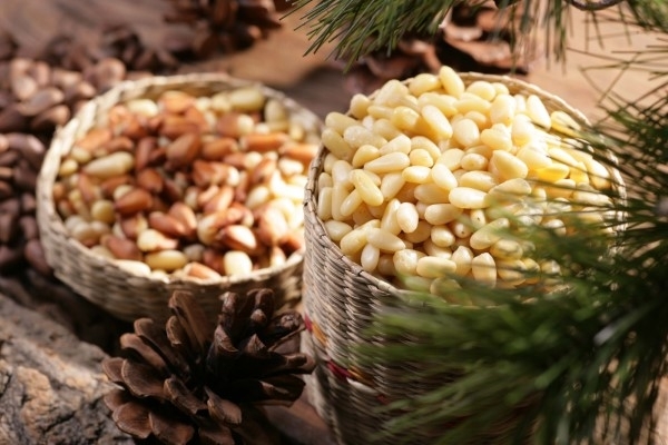 한의학에서 해송자(海松子)로 불리는 잣은 약재라고도 할 만큼 좋은 식품으로, 예로부터 신선이 먹는 음식으로 알려질 만큼 영양가와 약효가 뛰어나다. /사진 제공=경기도 가평균