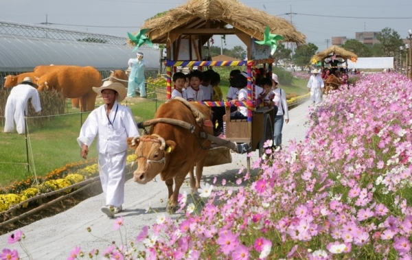 지난해 제21회 김제 지평선축제를 찾은 어린이들이 ‘황금들녘 우마차 여행’을 체험하고 있다.