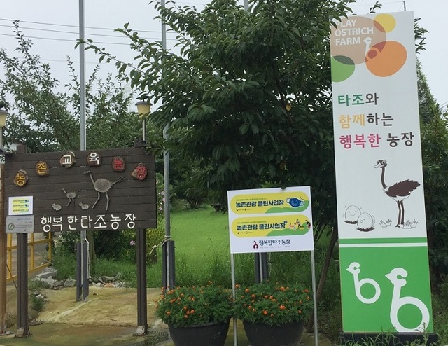 감곡면 ‘행복한 타조농장’