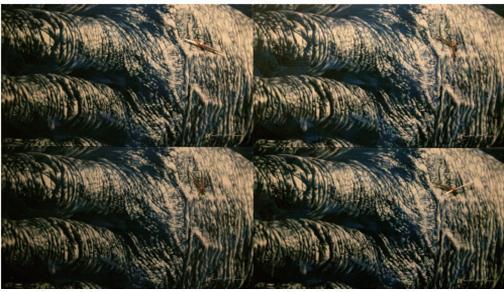 김철규 작가 작품.