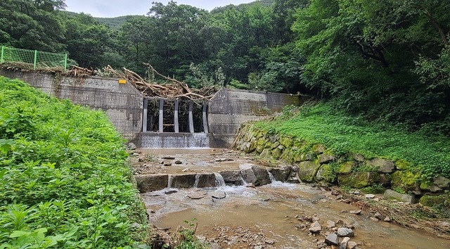 정읍국유림관리소는 지난 7~9일 완주에 432mm가 넘는 비가 내렸음에도 사방댐이 설치된 지역은 큰 피해가 없었다고 밝혔다. 사진제공= 산림청 정읍국유림관리소