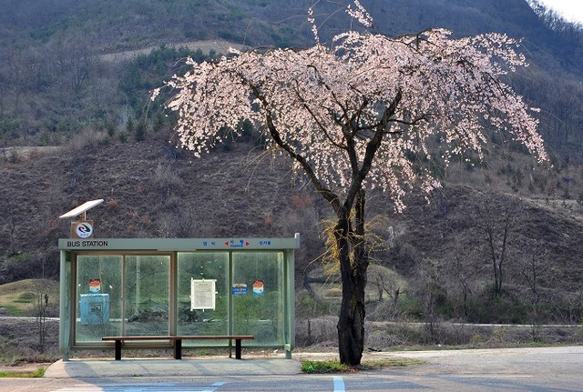 이한래 작품 '시평 정류장'.