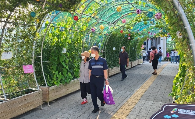 익산역에 조성한 덩굴식물을 활용한 자연친화적인 생태 그늘터널.
