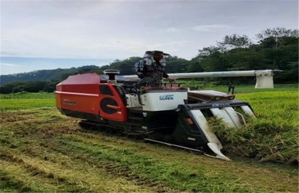 지난 26일 군산시 서수면에서 올해 첫 군산지역 벼 수확이 이뤄졌다.