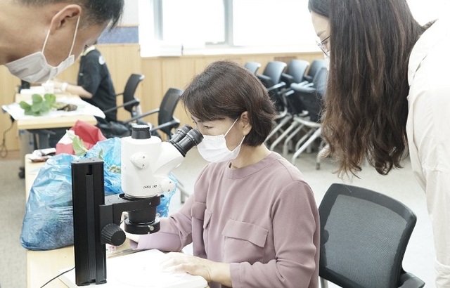 꽃눈분화 여부를 현미경으로 살펴보고 있다.