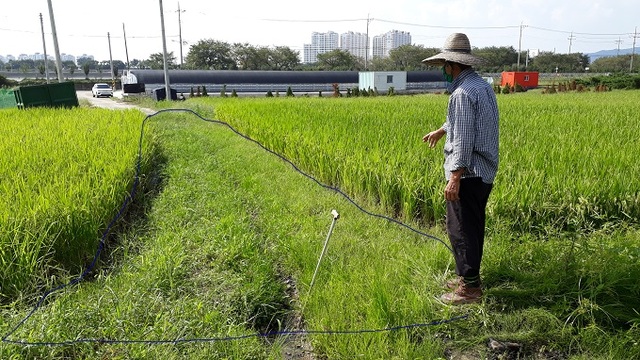 민원인 A씨가 포장 후 철거된 농로 구간을 가리키고 있다.