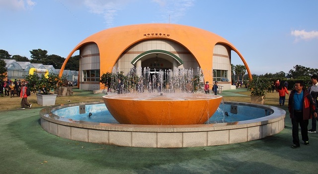 제주감귤박람회가 열리는 서귀포농업기술센터 내 제주감귤 홍보관.