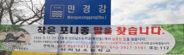 '말을 찾습니다' 현수막 /연합뉴스