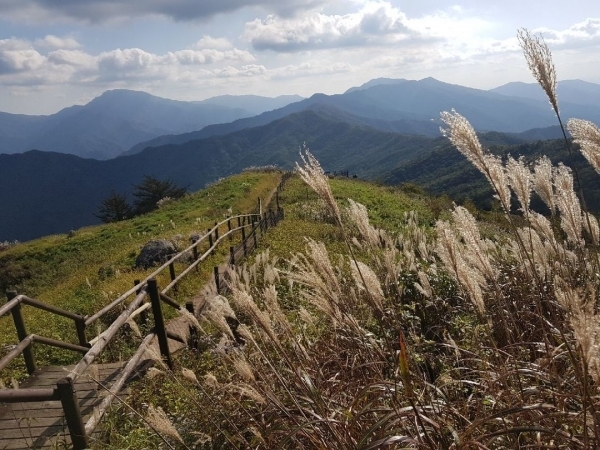 지리산 바래봉 산행로
