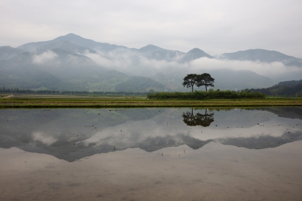 Jirisan 2032, 107x160cm, Archival Pigment Print on Hanji, 2020